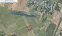 Łąka torfowa 1,36 ha.