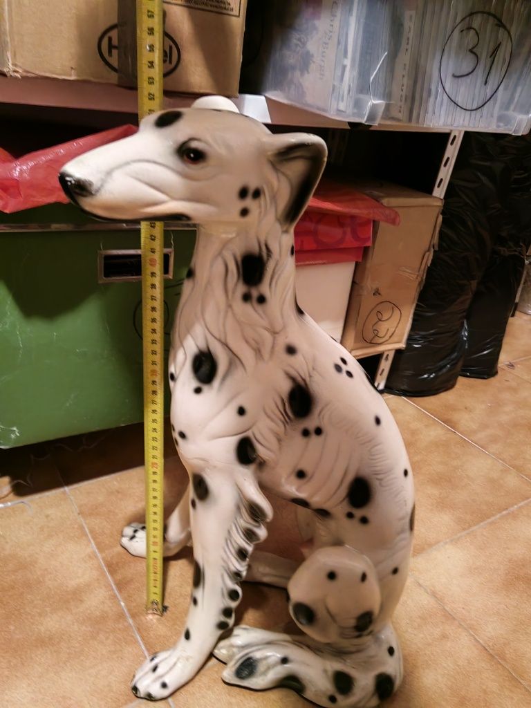 Cão de loiça Dálmata, aproximadamente 50 cm