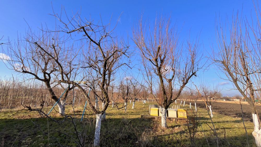 Продам дом с большим участком в с. Богдановка