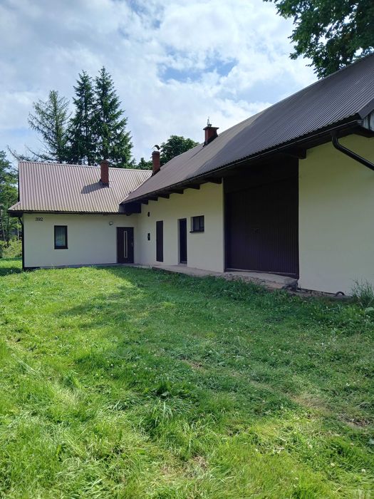 Dom do wynajęcia w Sidzinie