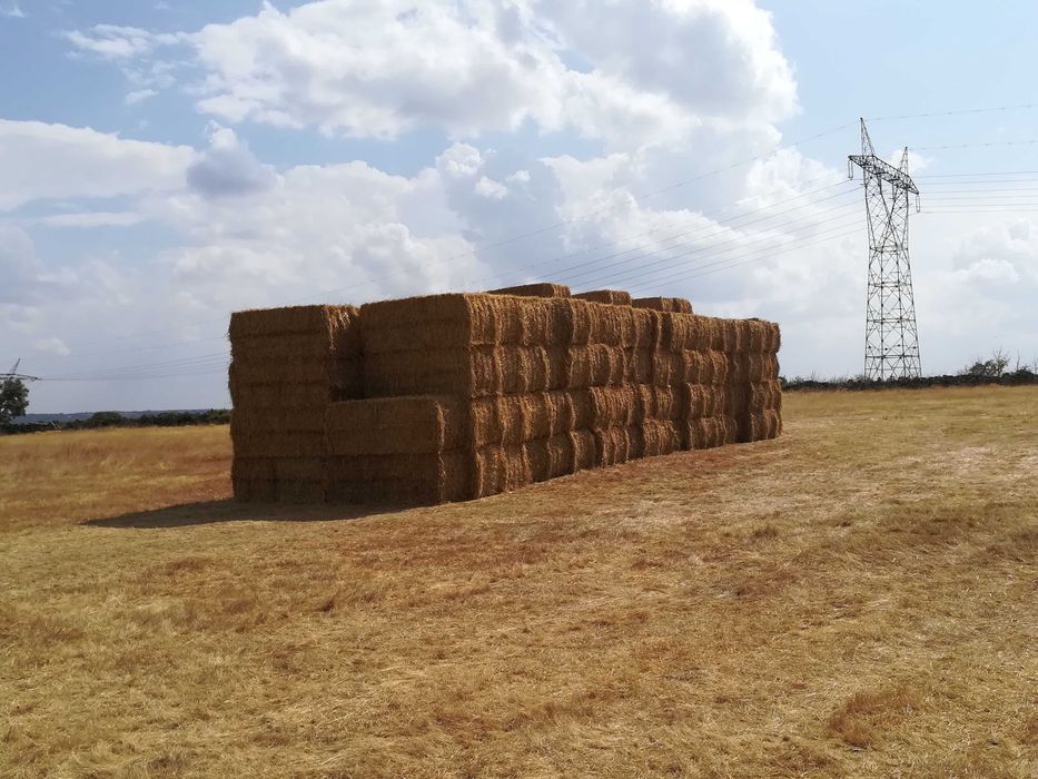 Fardos de Palha Gigantes