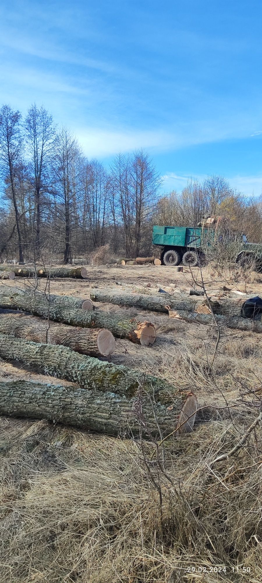 Продам дрова. Тверді породи Дубові.доставка до 15 складометров.