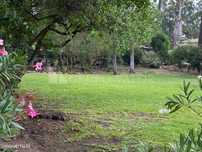 Terreno Urbano com 895m2 | Bairro da Martinha | Estoril
