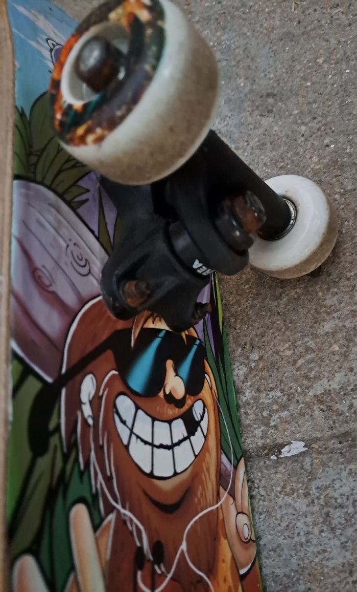 Skate Criança : Area : 4 Rodas : 55cm