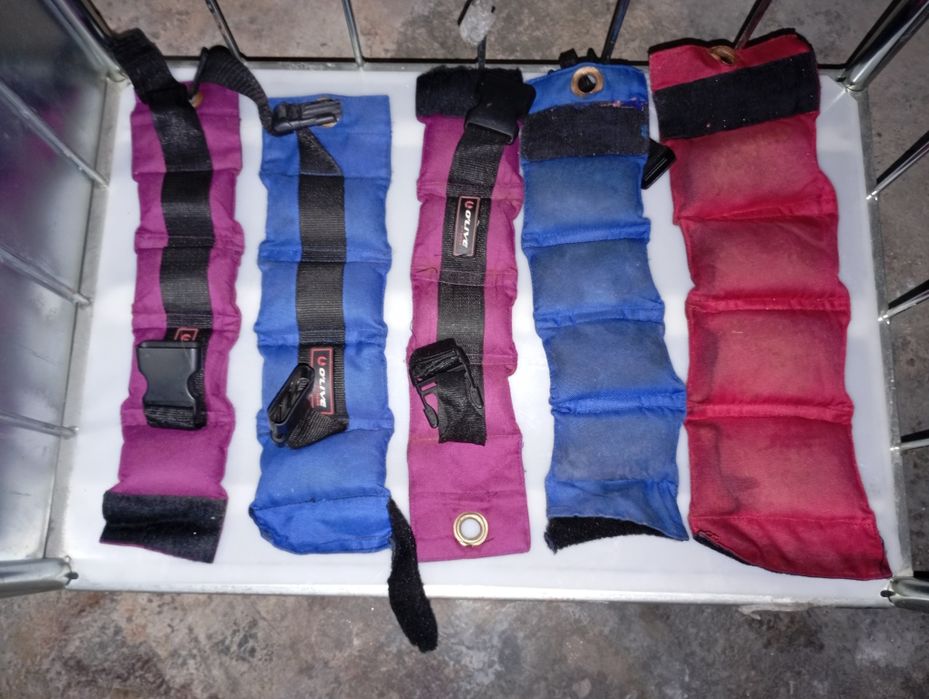 Conjunto de Pesos Fitness