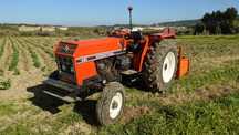 Trator international 484 + ALFAIAS