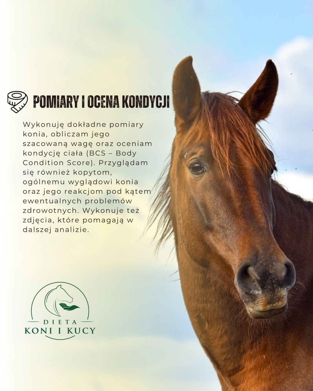 Doradztwo żywieniowe dla koni