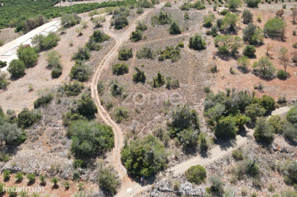 Dois Terrenos rústicos em Messines, Alfarrobeiras c/ 2.080m2