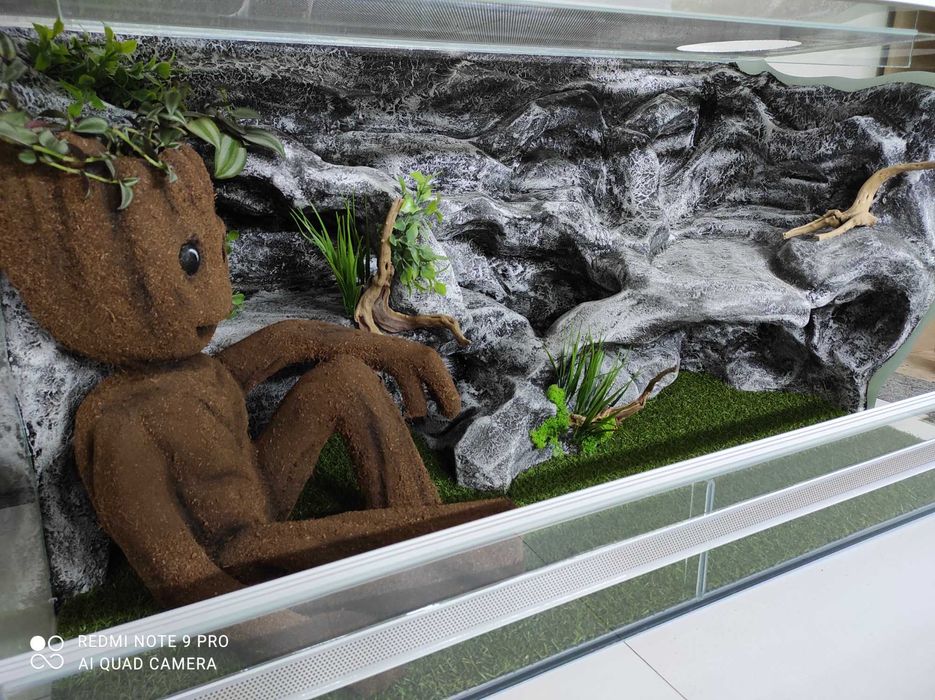 Terrarium dla agamy z postacią z filmu, TW12G3, AquaWaves