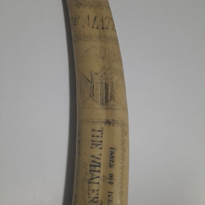 Presa Marfinite (com inscrições)