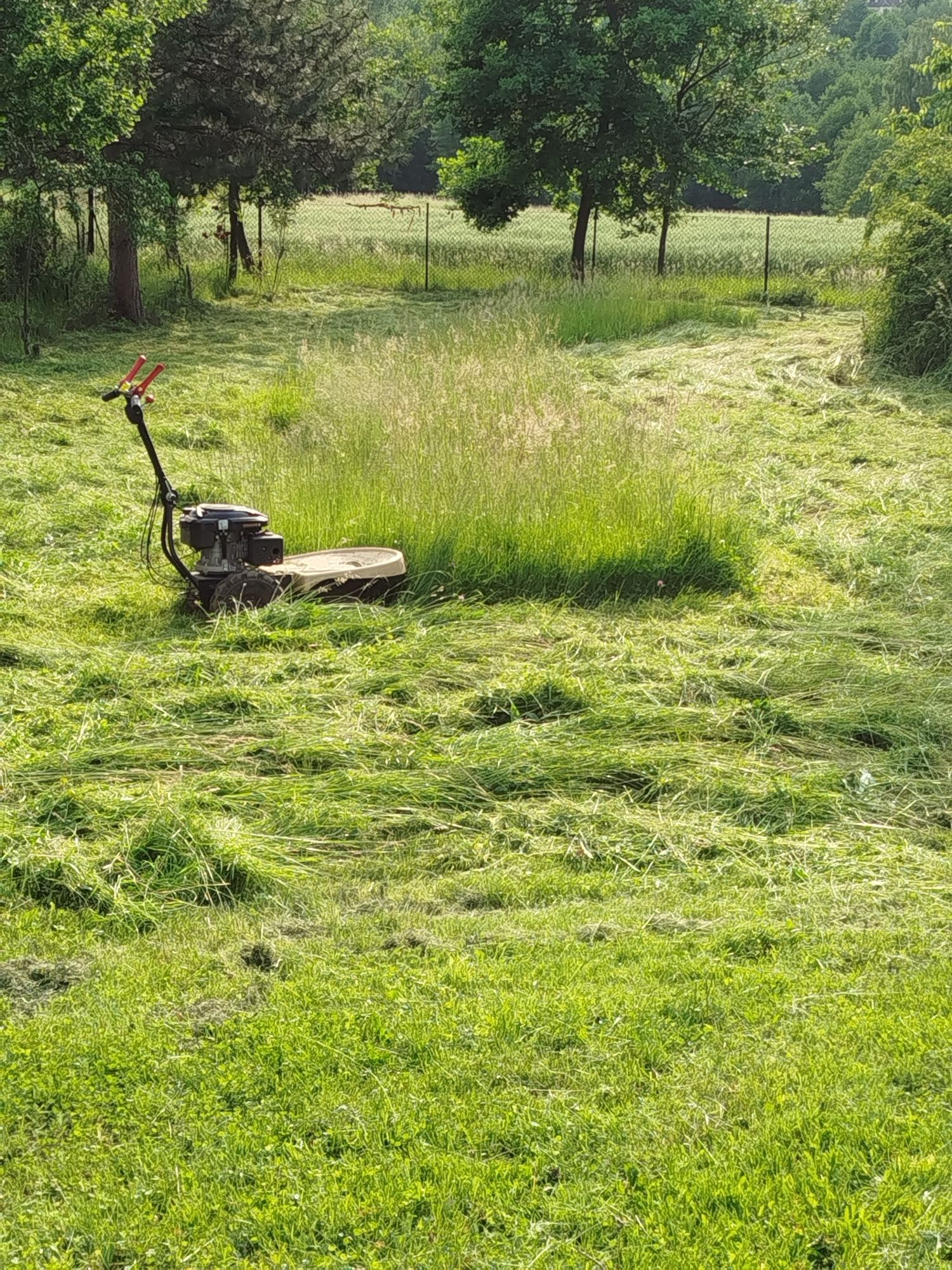 Koszenie trawy, nieużytków,mycie kostki brukowej