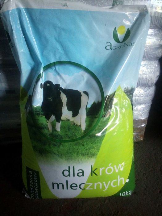 Wieloletnia trawa, trawa wysokobiałkowa, trawa dla krów mlecznych