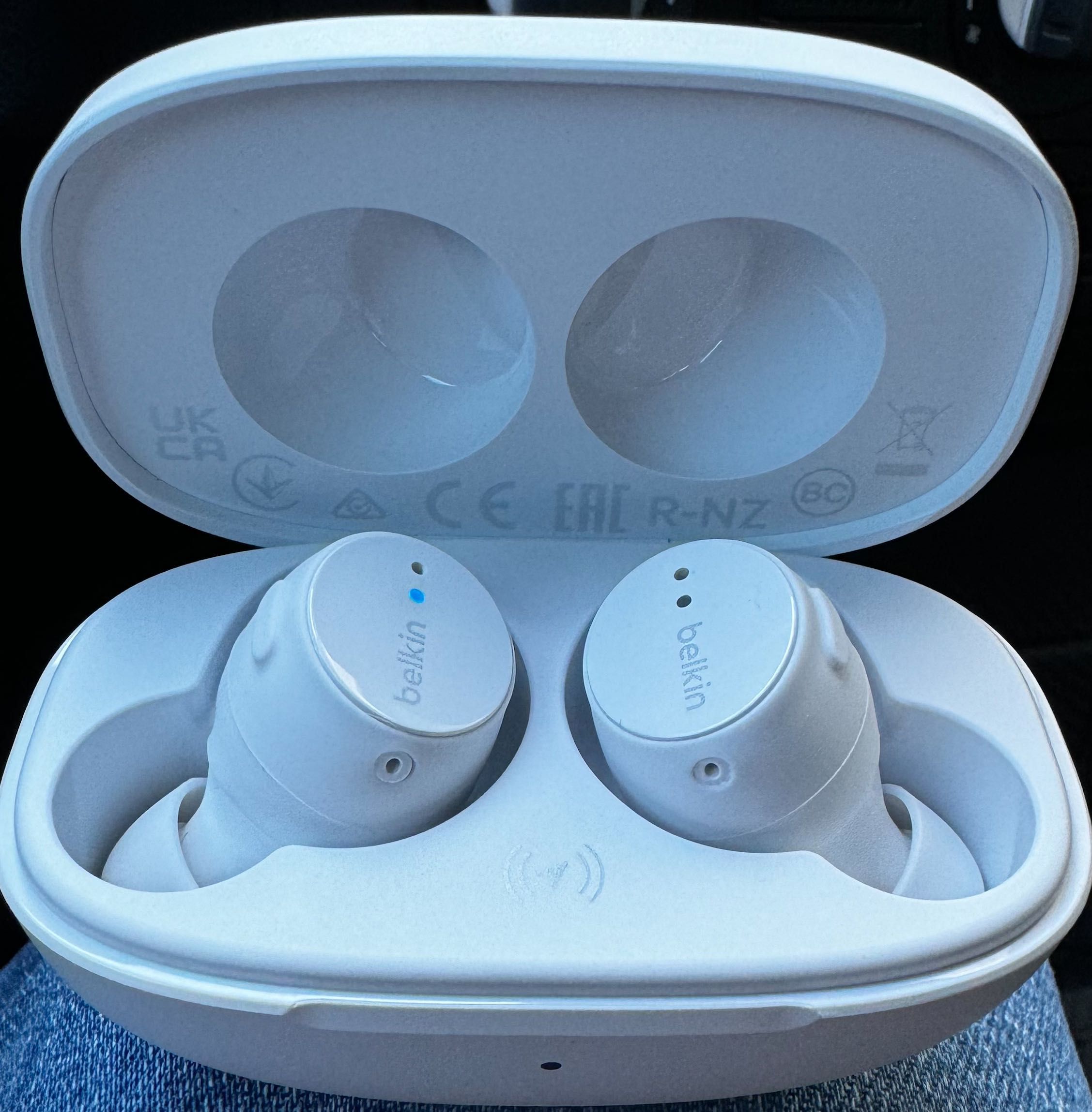 Earbuds noise cancelling