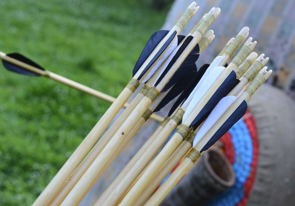 Стріли для лука ВЕРЕТЕНОПОДІБНІ 11 штук