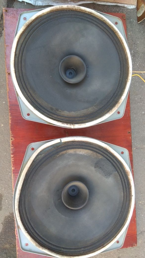 Динамики 12'' RFT ВКН 1A16 2А12