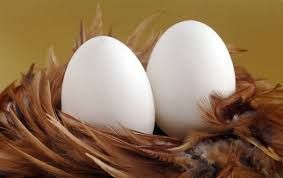 Яйце інкубаційне Леггорн від маточного поголів"я