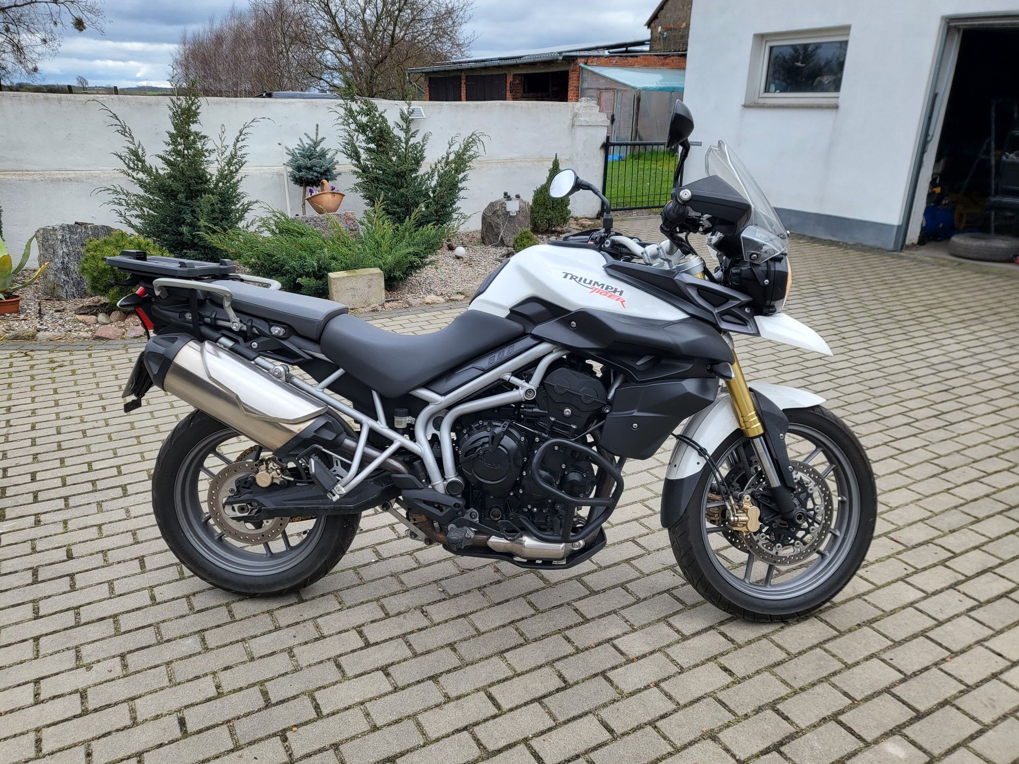 Triumph tiger 800