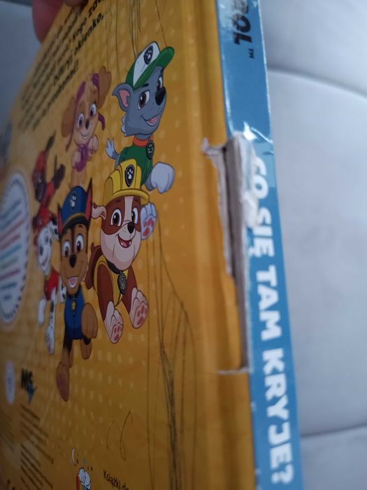 Psi Patrol. Co tam się kryje.