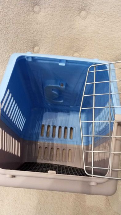Box transporte de animais Azul