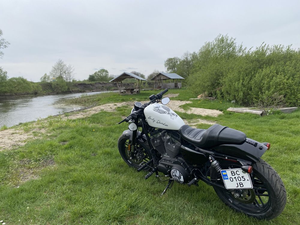 HARLEY xl 1200 / Roadster