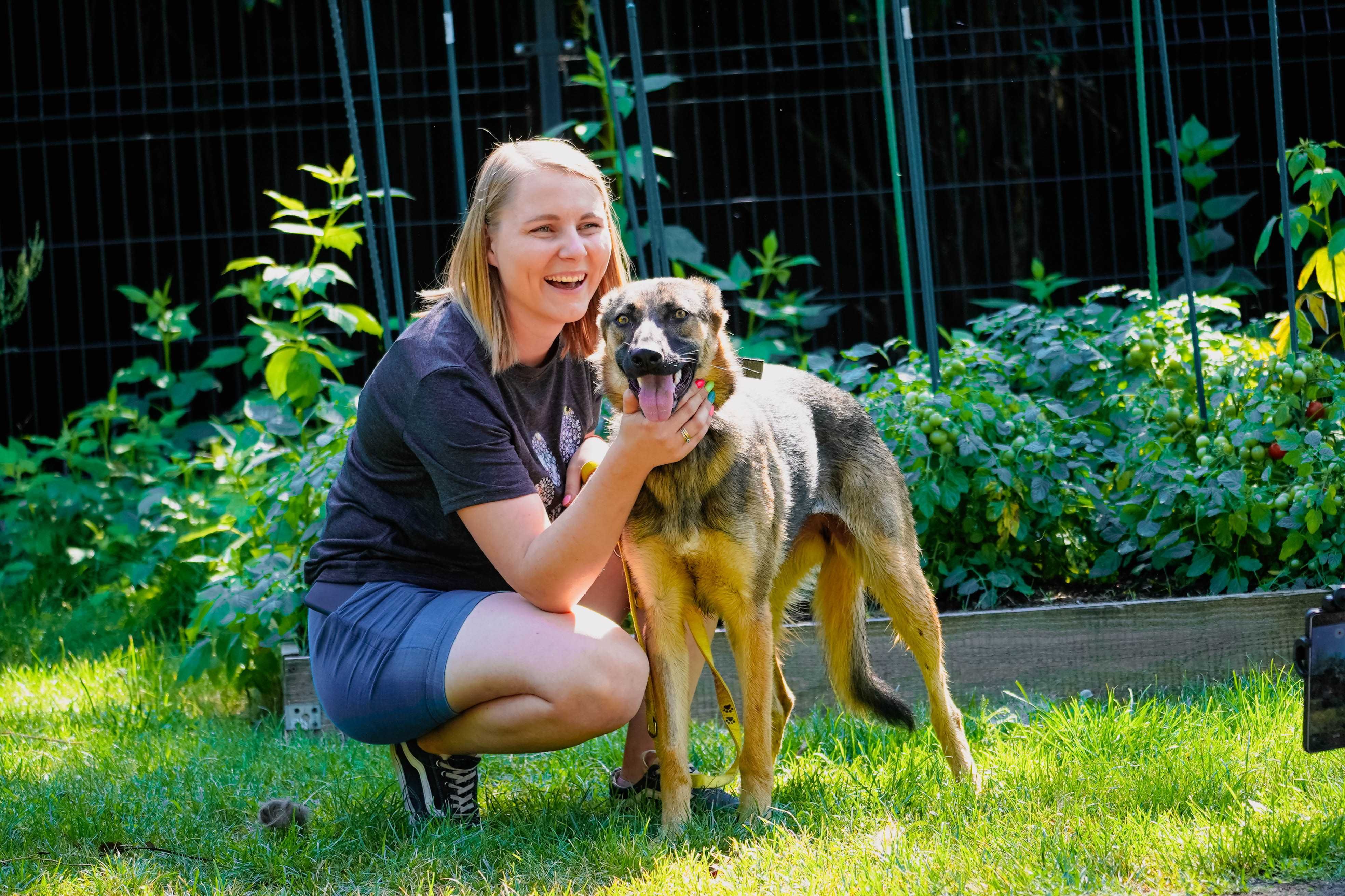 Dakota - mega fajna młoda sunia do adopcji