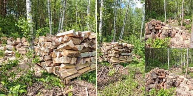 drewno opałowe i kominkowe sezonowane i świeże