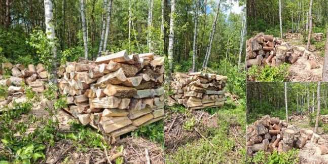 drewno opałowe i kominkowe sezonowane i świeże