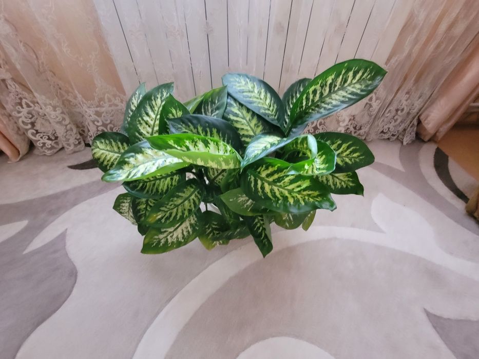 Вазон домашній,кімнатний