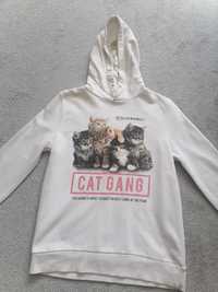 Bluza Cat Gang C&A