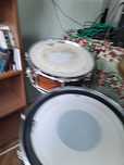 werbel Pearl 13x5 Omar Hakim