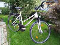 Rower Pegasus Solero SL 28" Alu