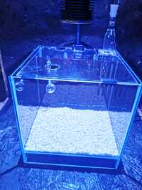 Akwarium morskie kostka nano 25x25x25 komplet MIŃSK MAZOWIECKI