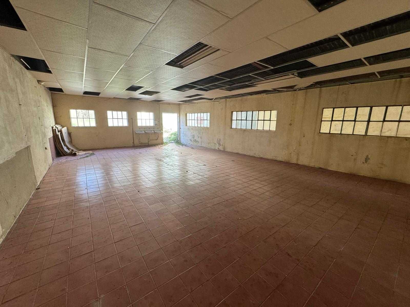 Armazém em São Martinho da Gândara para Arrendamento