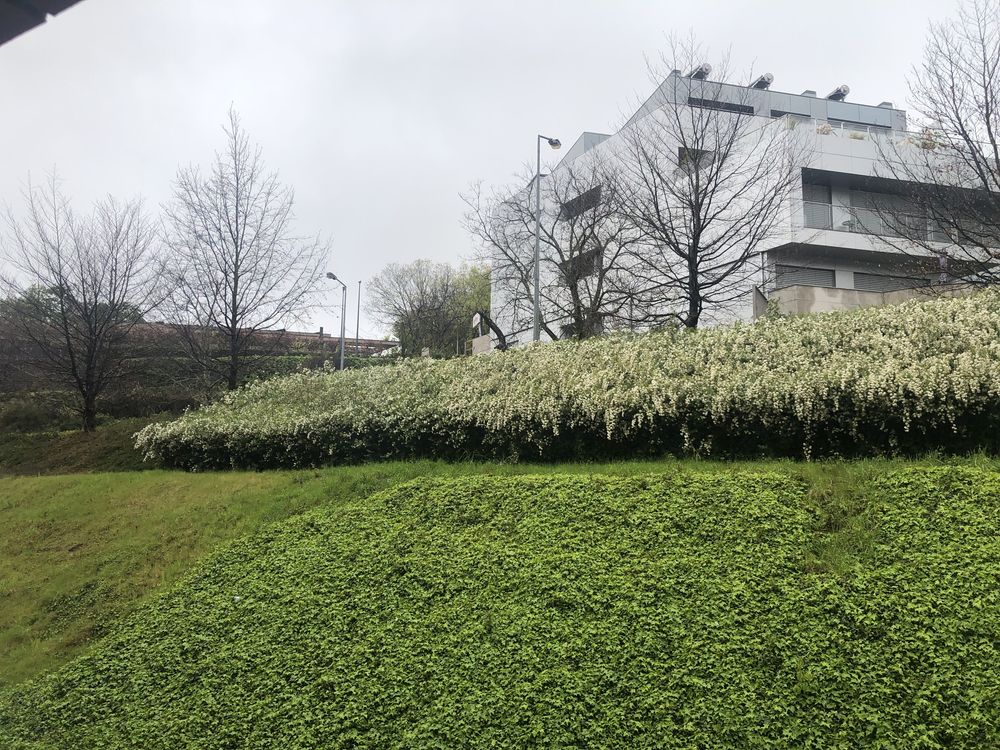 Quarto em Guimarães (Costa)