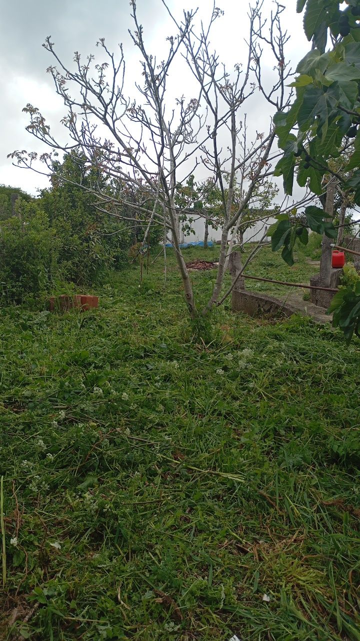 Limpeza de terrenos orçamentos grátis