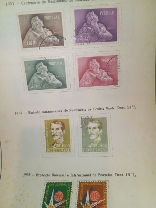 Selos tem selos do Benfica