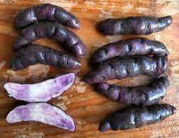 Batata BANANA MIX, deliciosas para semear ou pra comêr.