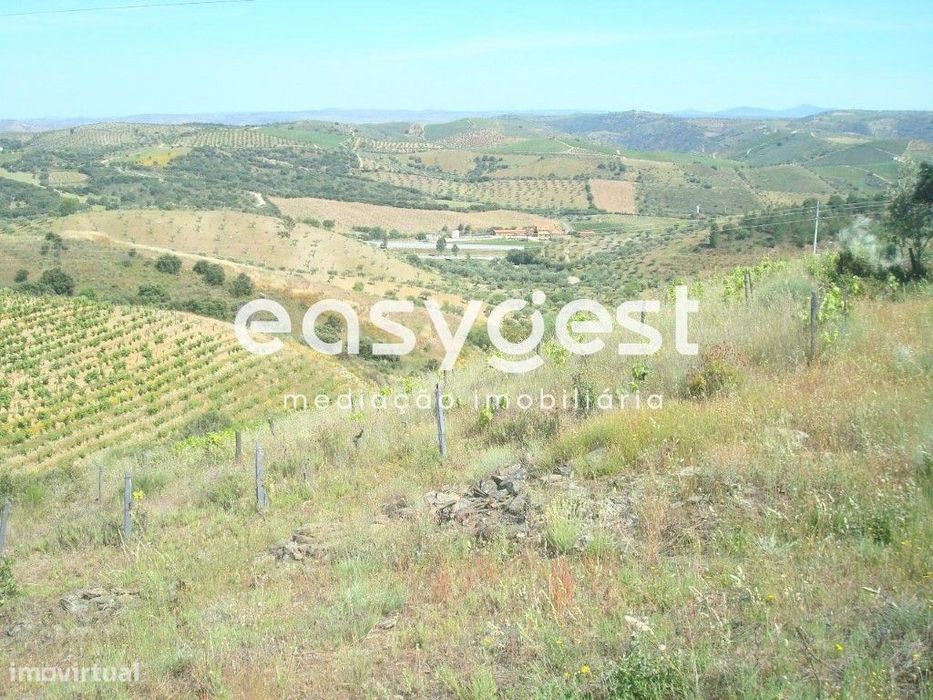 Excelente terreno agrícola localizado na aldeia de Longroiva