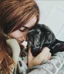 Pet sitting em estadia familiar - Oeiras