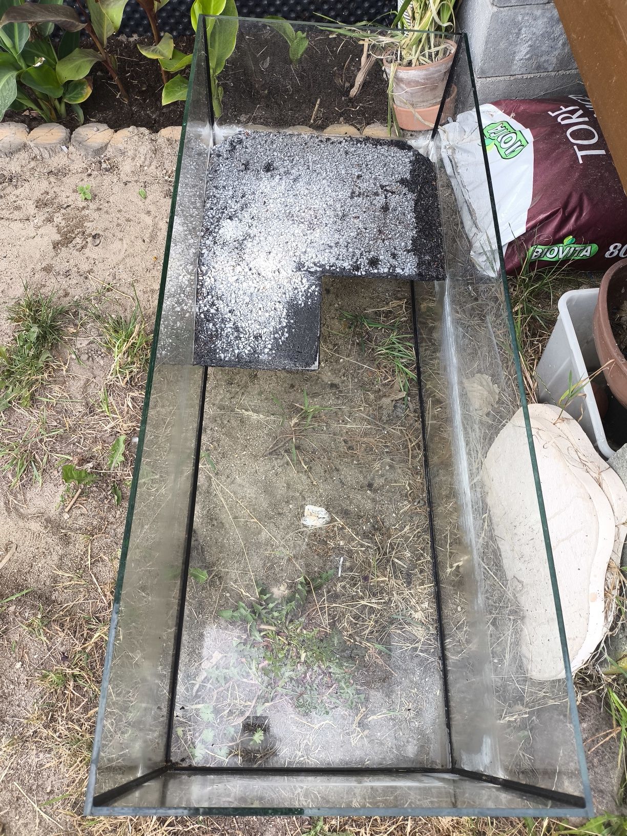 Terrarium dla żółwia