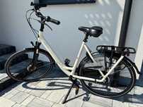 Rower Gazella c7+