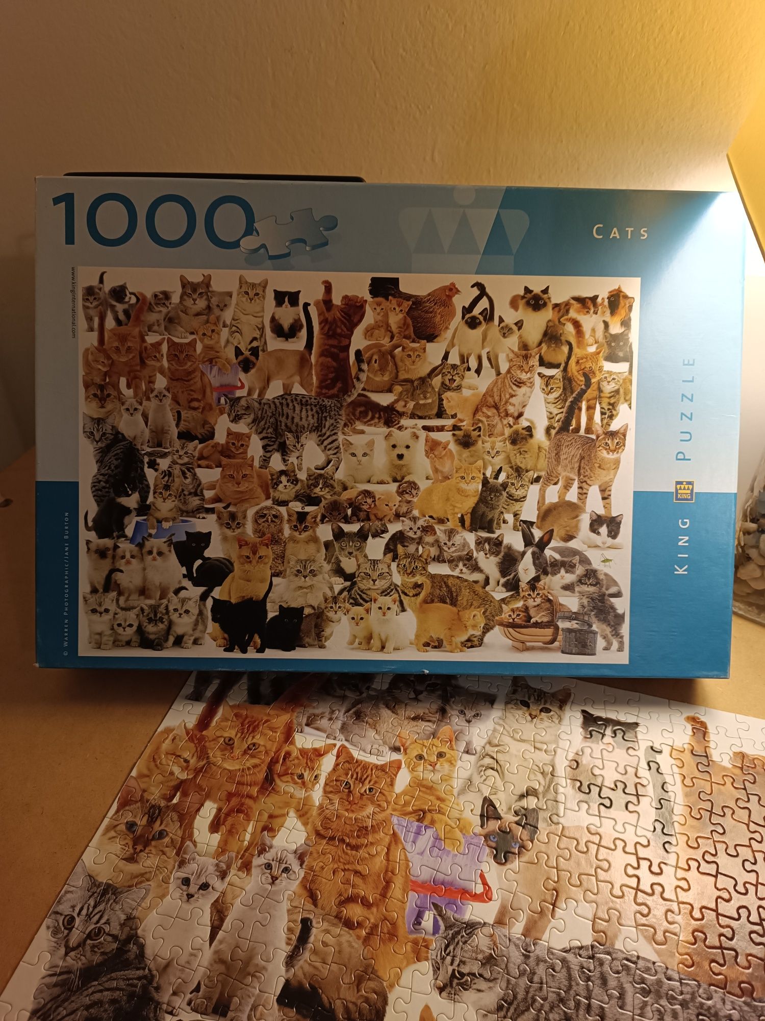 Puzzle koty 1000