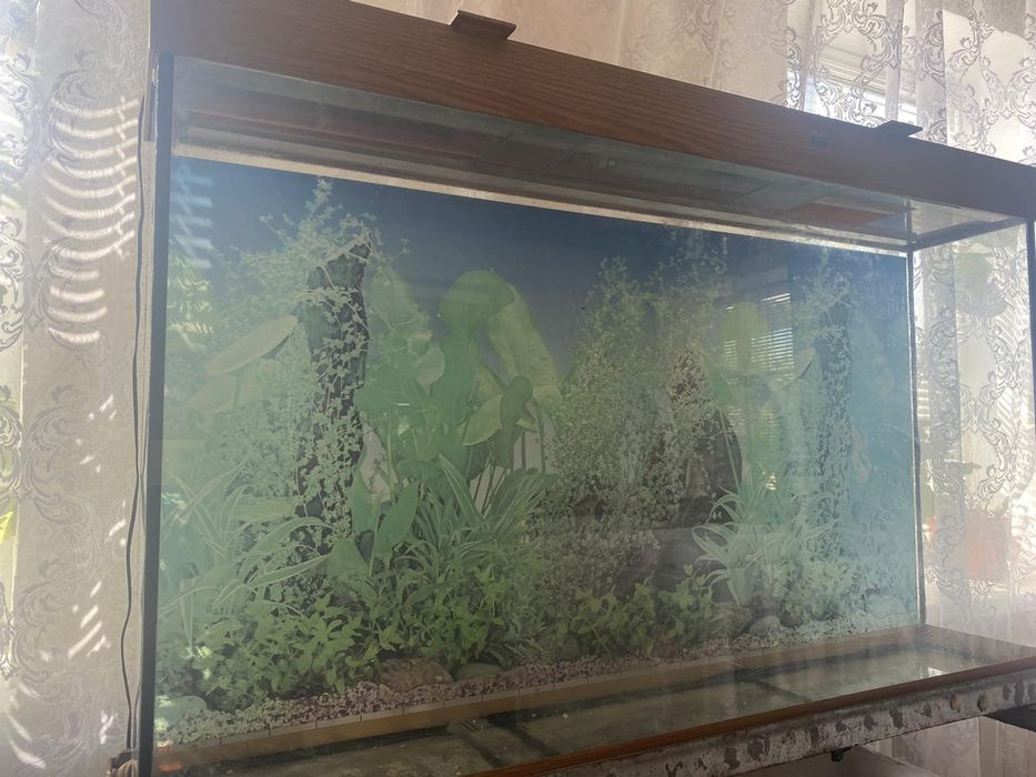 Аквариум 250 литров