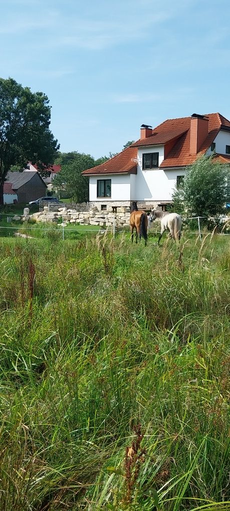 Sprzedam dom na Jurze