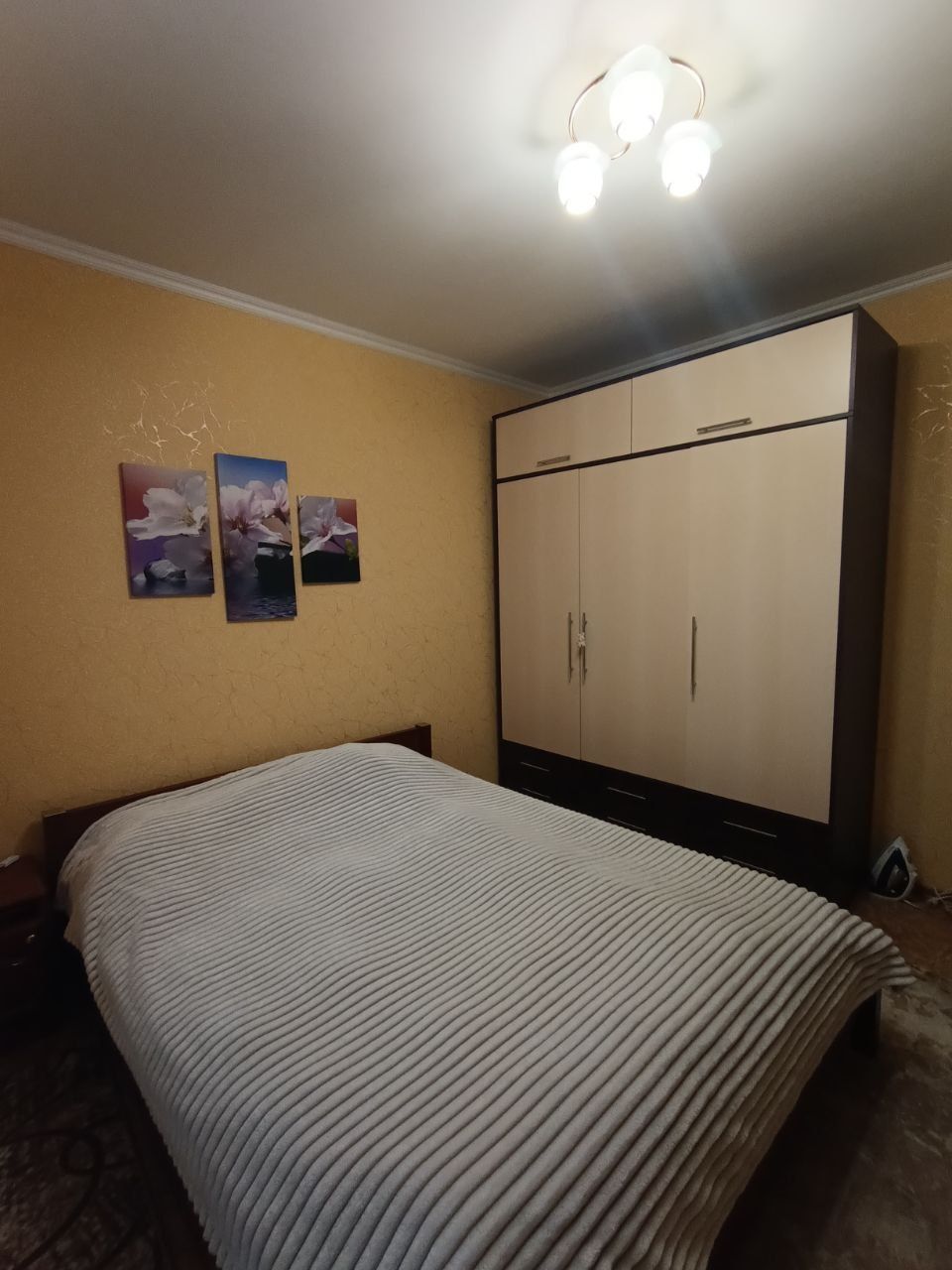 З меблями і технікою 3к на Східному -3