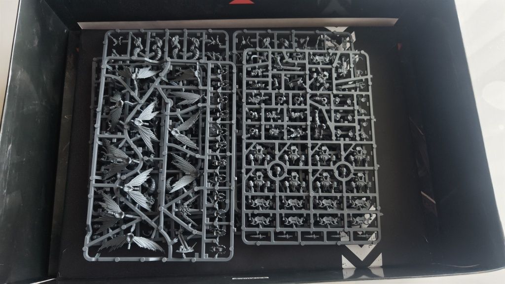 Vespid Stingwings wypraski Kill Team