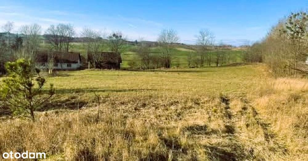 Panistruga 3500m²-wz na 3 domy jednorodzinne