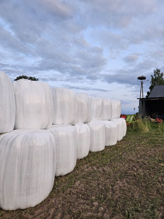 Sprzedam! Bele sianokiszonki 140zł/szt.