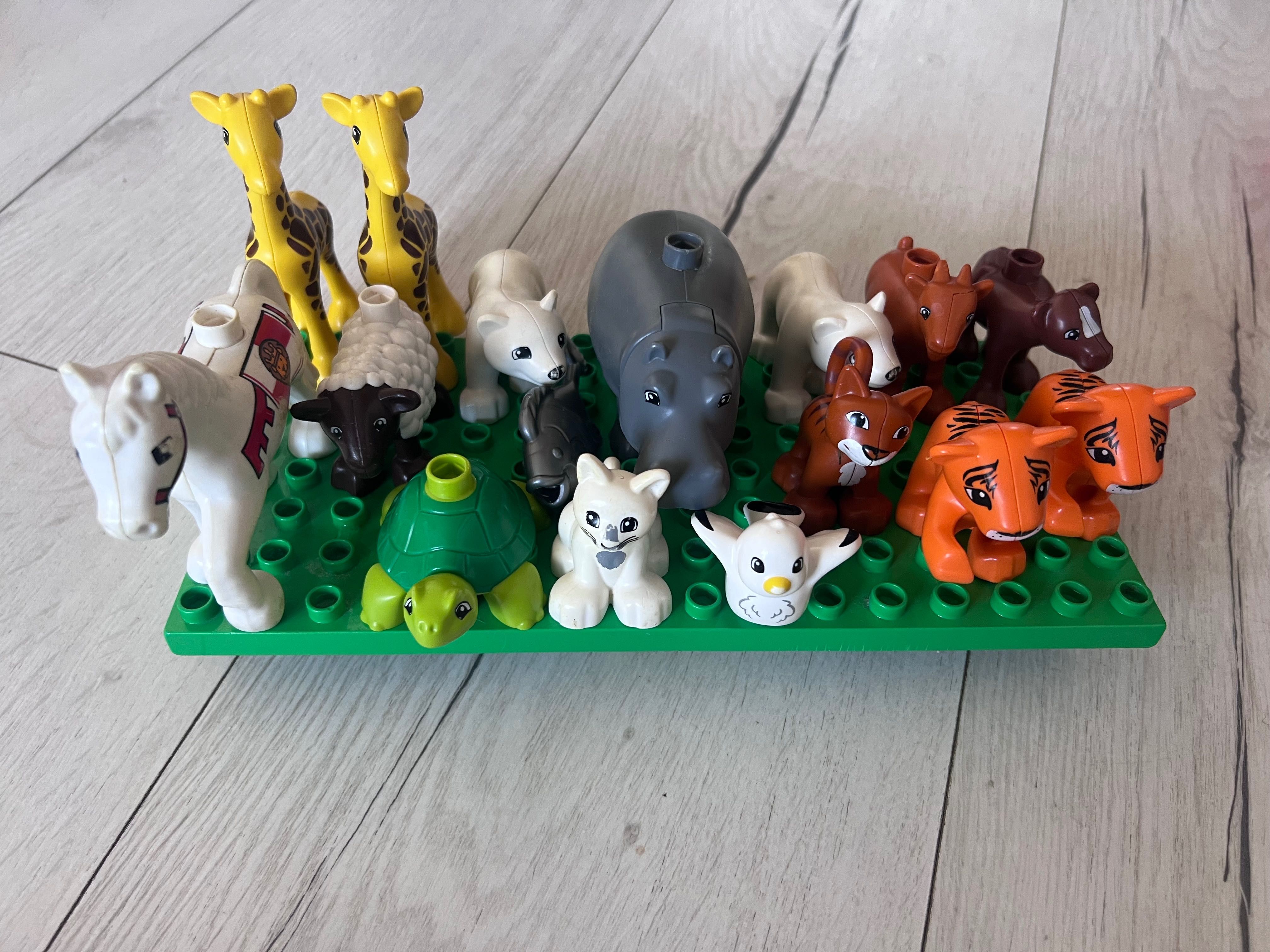Lego duplo, autka, zoo, Kubuś Puchatek, stacja benzynowa i inne