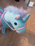Śpiewający konik pony